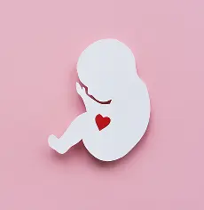about Zemya IVF