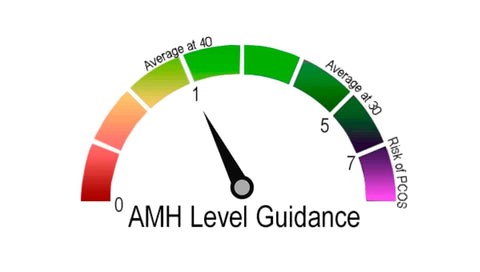 How to Increase AMH Levels Naturally