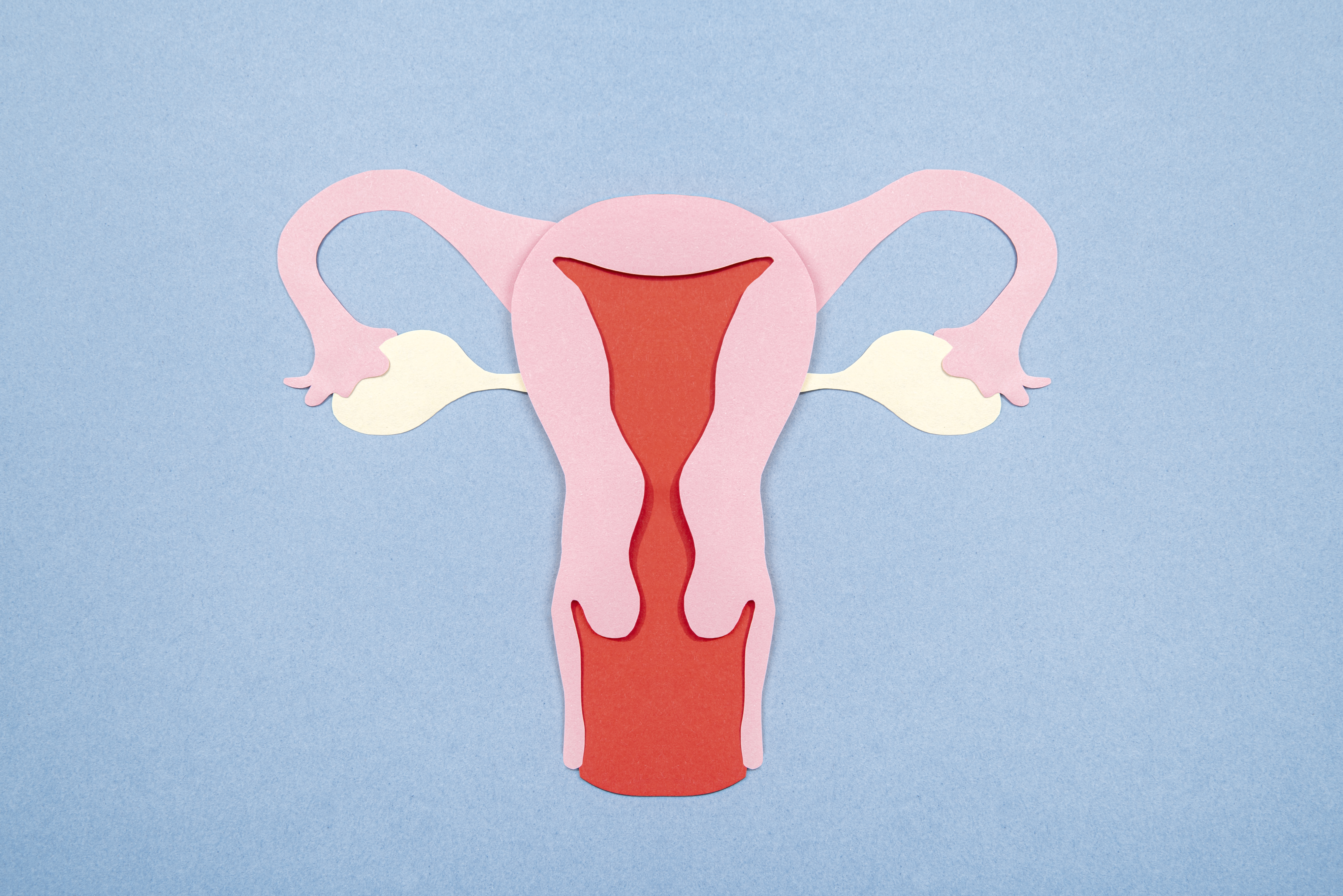 average egg freezing cost cover elective egg freezing, egg freezing offers egg freezing success rate with rapid freezing technique