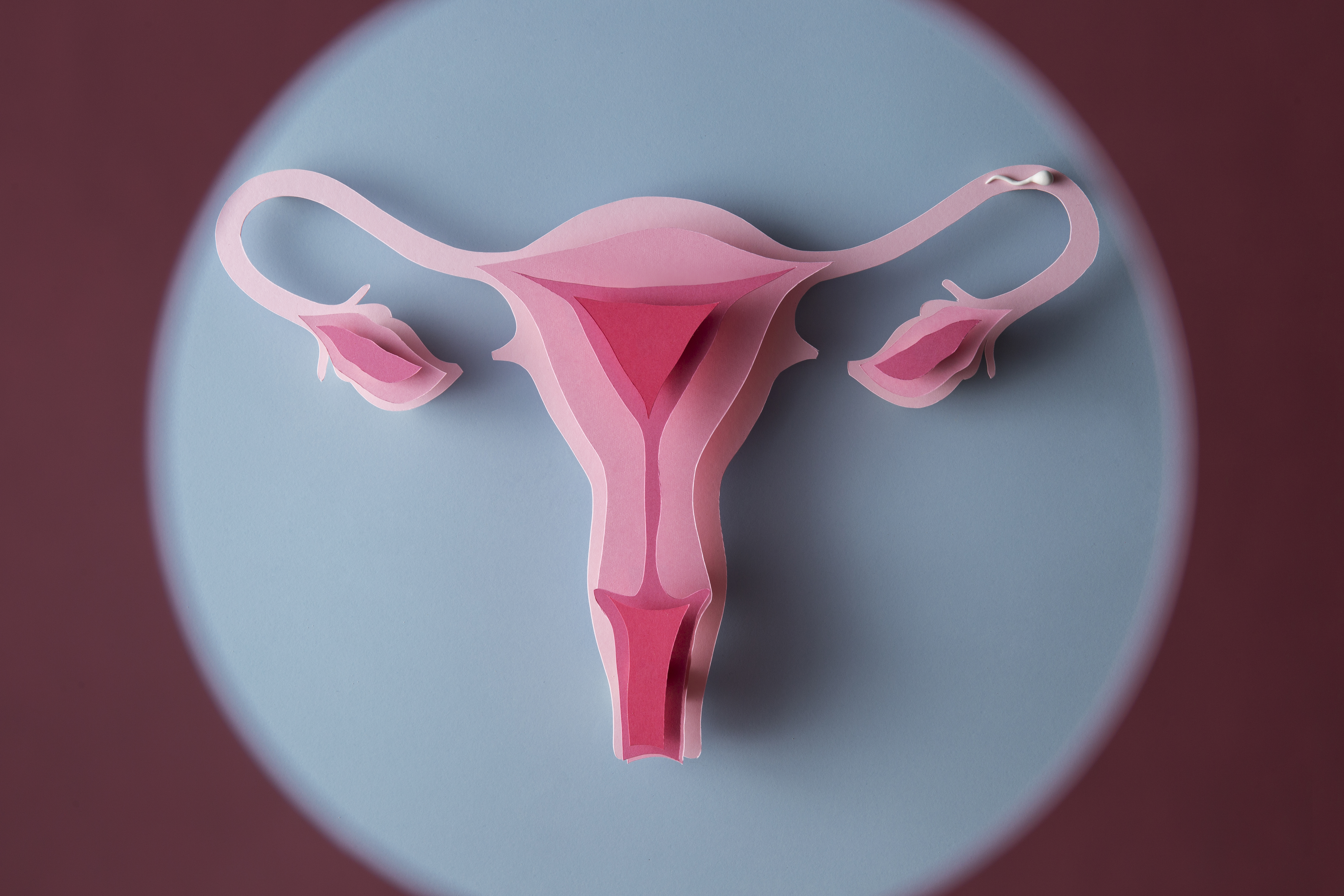 ovarian reserve testing amh for women in their early 20s, amh levels naturally decline, anti mullerian hormone, anti mullerian hormone amh, controlled ovarian hyperstimulation