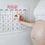 pregnancy begins with early pregnancy symptoms when fertilized egg moves to birth canal