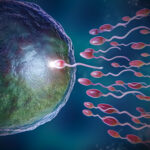 increase sperm count and sperm quality, intracytoplasmic sperm injection, semen quality, undescended testicles, fertility specialist, body temperature fewer sperm