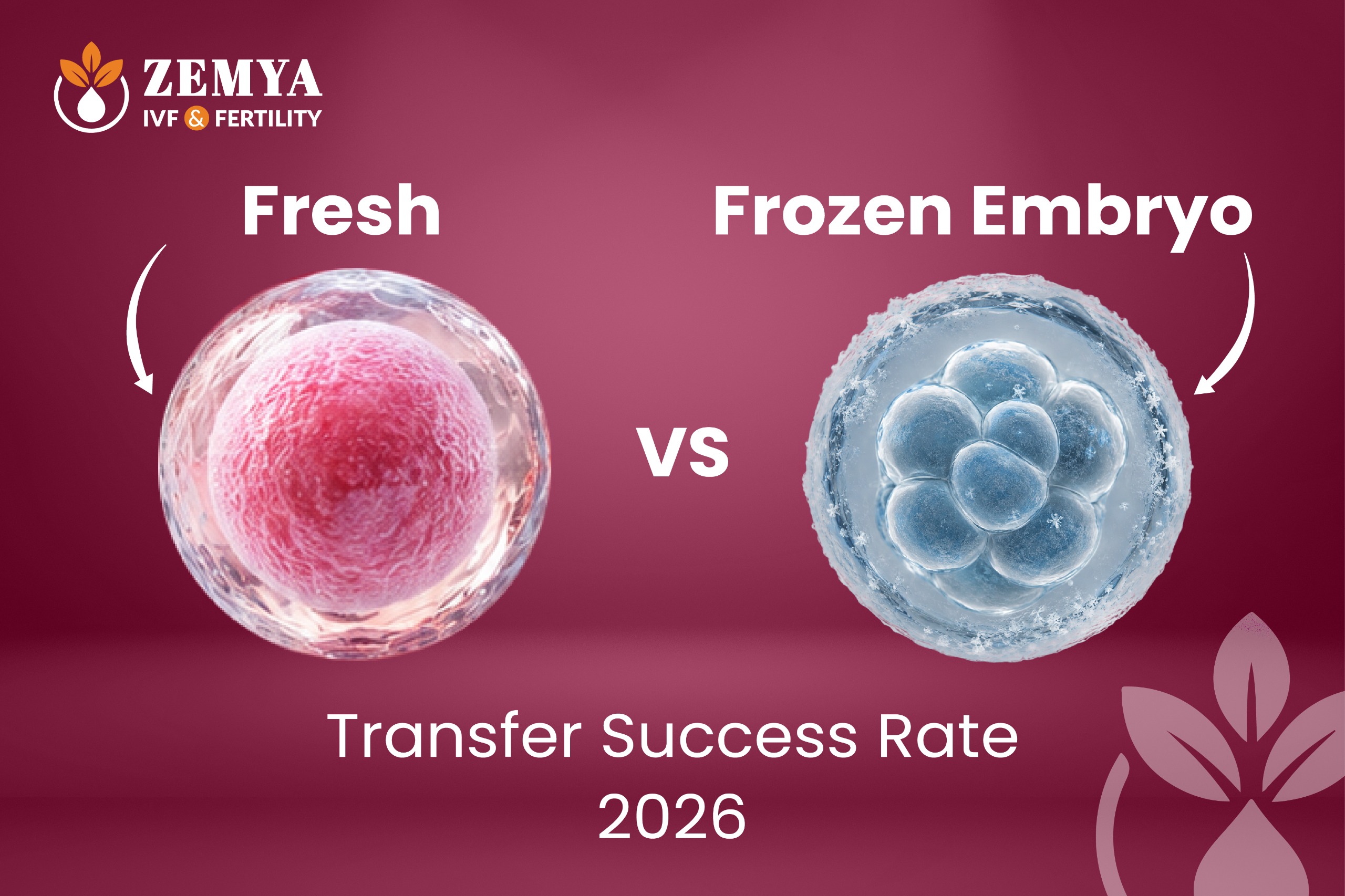 FROZEN MEBRYO