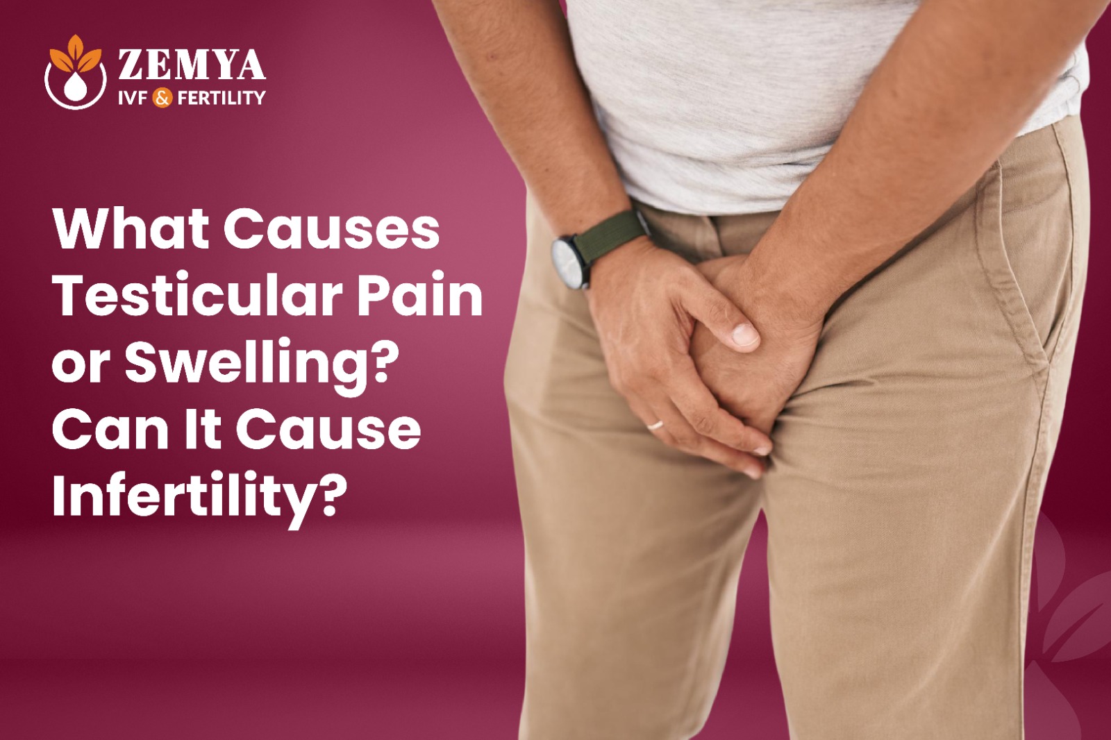 What causes testicular pain or swelling? Explore common causes, warning signs, and whether testicular conditions can affect sperm health and male fertility.